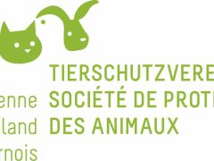 Wir stellen uns vor: Tierschutzverein Biel/Bienne – Seeland – Jura bernois