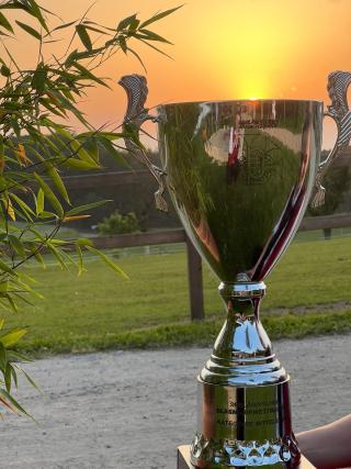 Pokal