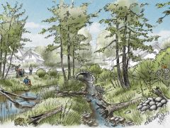 Revitalisierung Orpundbach