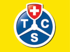 Wildtiere auf der Fahrbahn: Was nun?